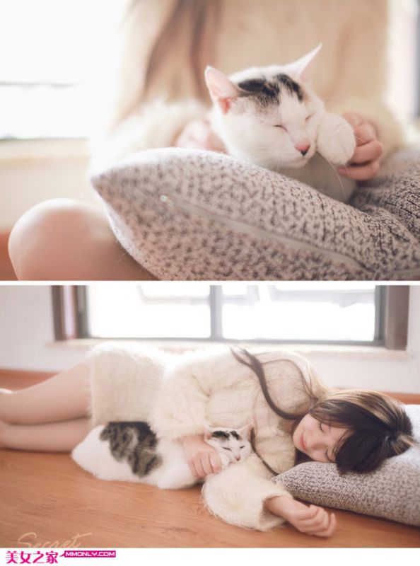 清纯萌妹子和猫的故事