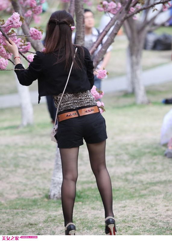 树下的黑丝袜少妇高清图