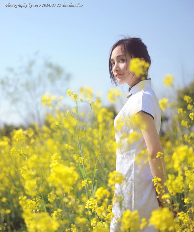 油菜花地里古典旗袍美女清纯写真图片