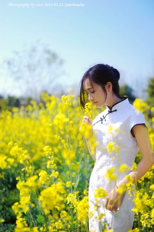 油菜花地里古典旗袍美女清纯写真图片