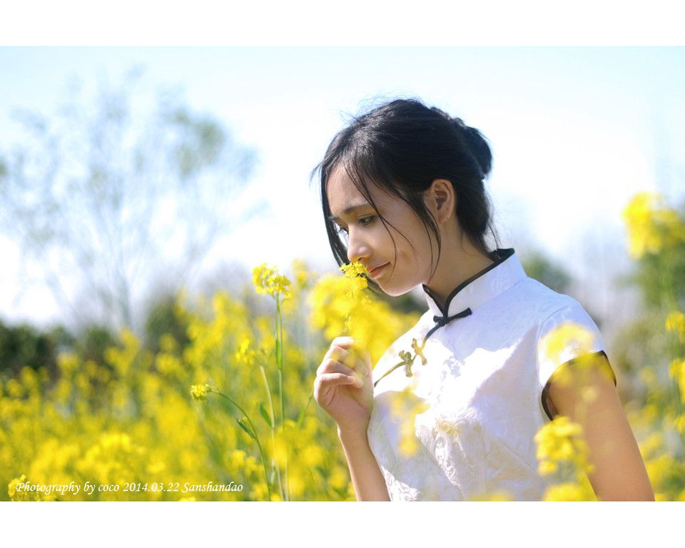 油菜花地里古典旗袍美女清纯写真图片