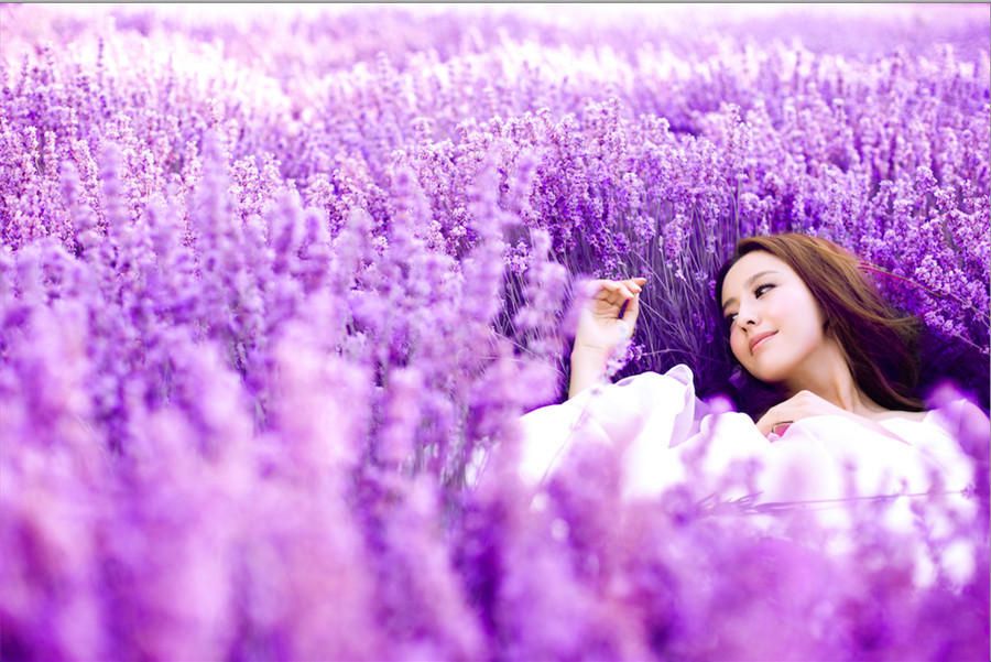 置身紫色薰衣草丛佟丽娅唯美新疆写真