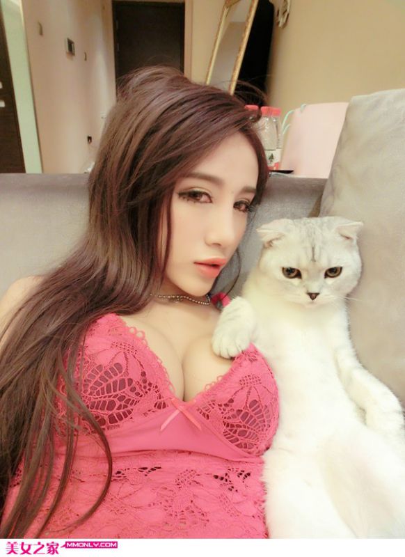 性感美臀美女与猫咪的故事