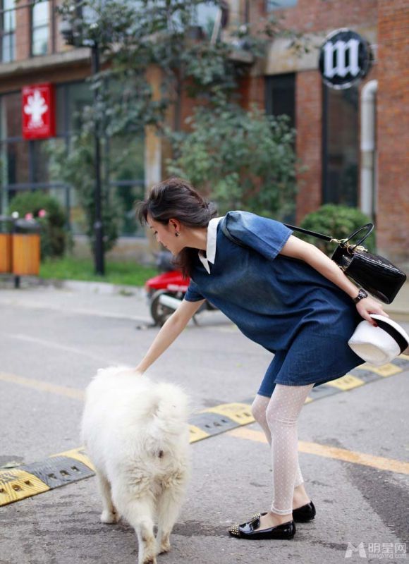 美女明星张静初小清新高清写真