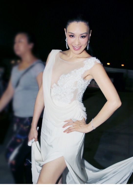 女星钟丽缇长裙高清活动照