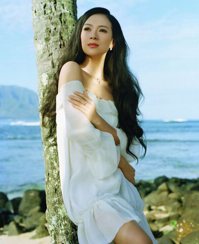 性感女星章子怡迷人写真