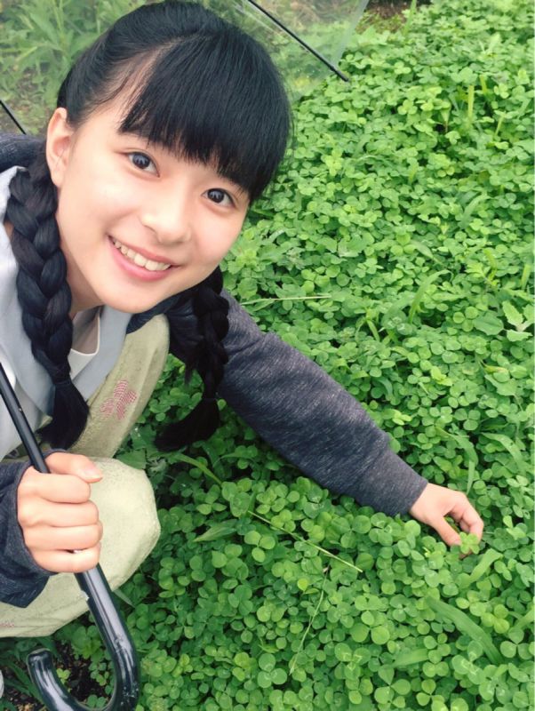 日本女演员芳根京子私拍图片大全