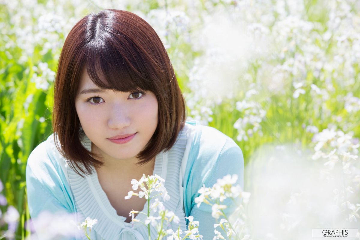 菊川三叶菊川みつ葉 『 Fresh seedlings 』