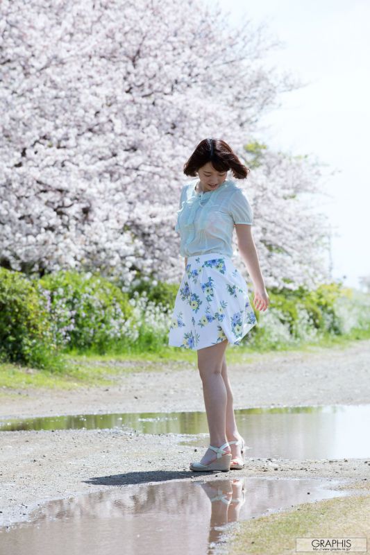 菊川三叶菊川みつ葉 『 Fresh seedlings 』
