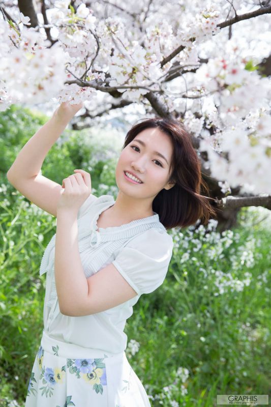 菊川三叶菊川みつ葉 『 Fresh seedlings 』