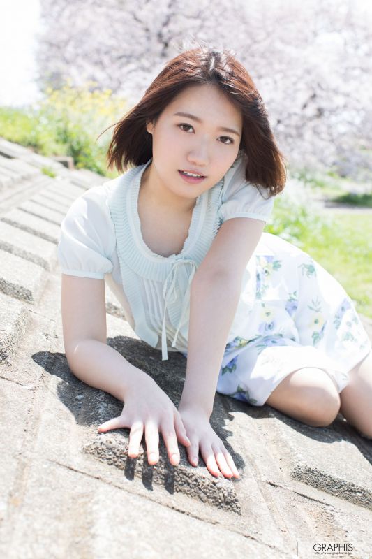 菊川三叶菊川みつ葉 『 Fresh seedlings 』