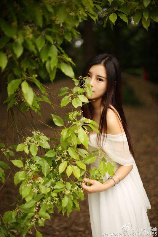 内地女模特Yang_杨歆儿清纯私拍图片合辑