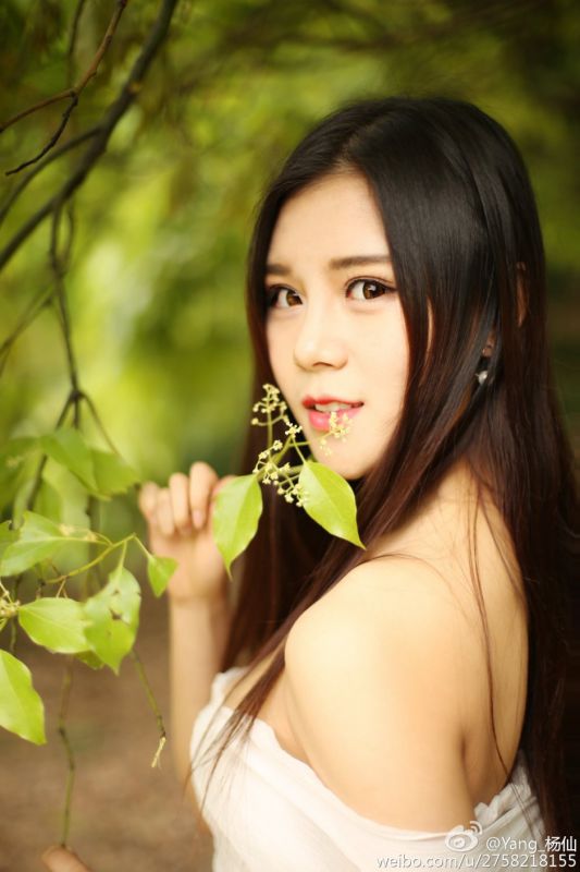 内地女模特Yang_杨歆儿清纯私拍图片合辑
