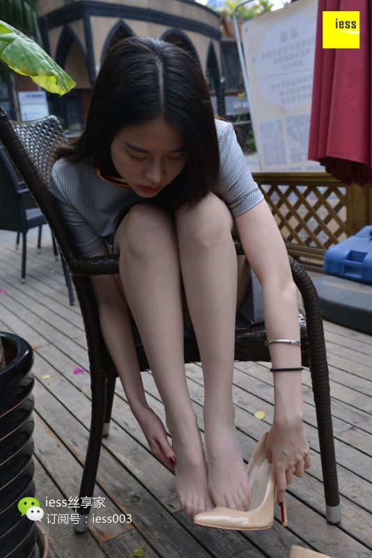 佳佳 《佳佳牌飞机现在开始登机》
