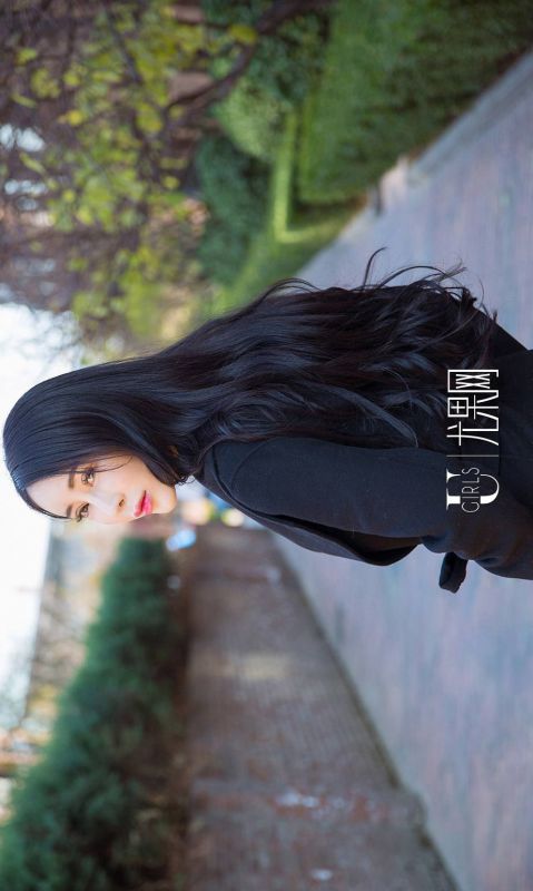 茉莉 - 白茉莉 写真图片