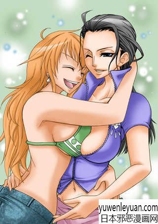 h海贼王邪恶漫画集