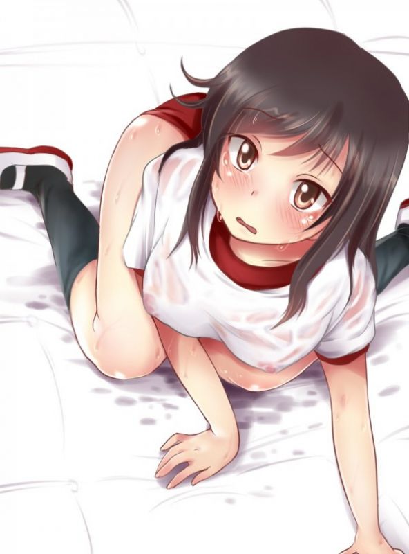 喵帕斯本子