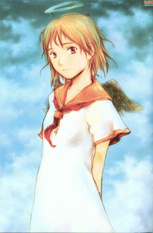 无翼鸟漫画全集