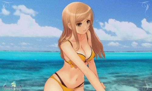 光明之风h