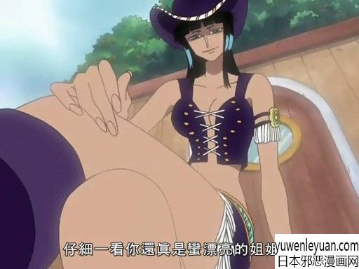 h海贼王邪恶漫画集