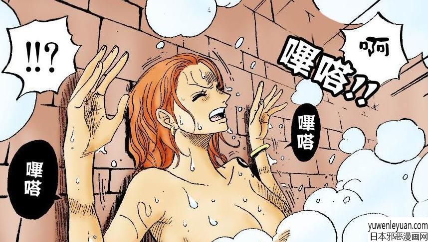 h海贼王邪恶漫画集