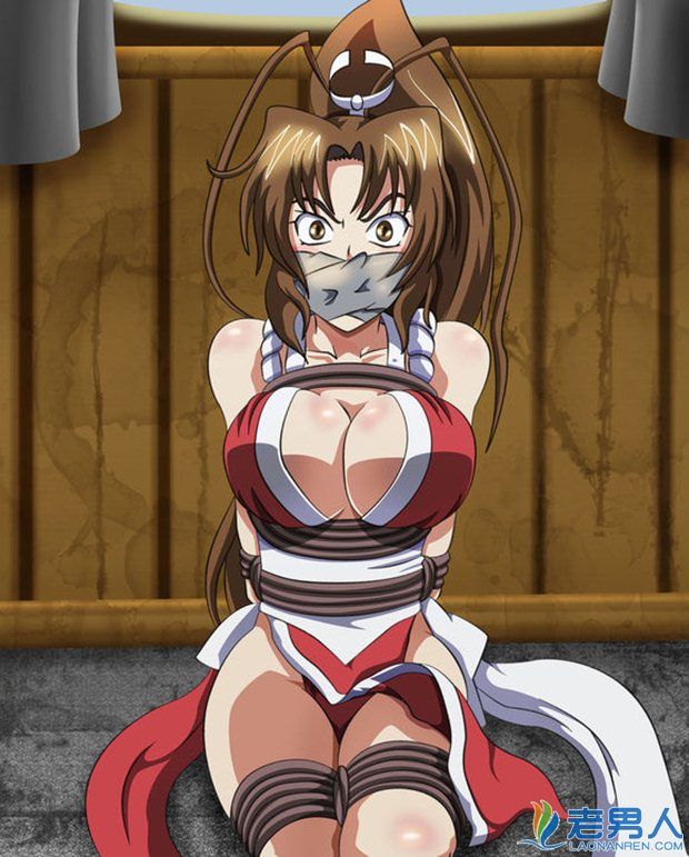 饿狼传说不知火舞h