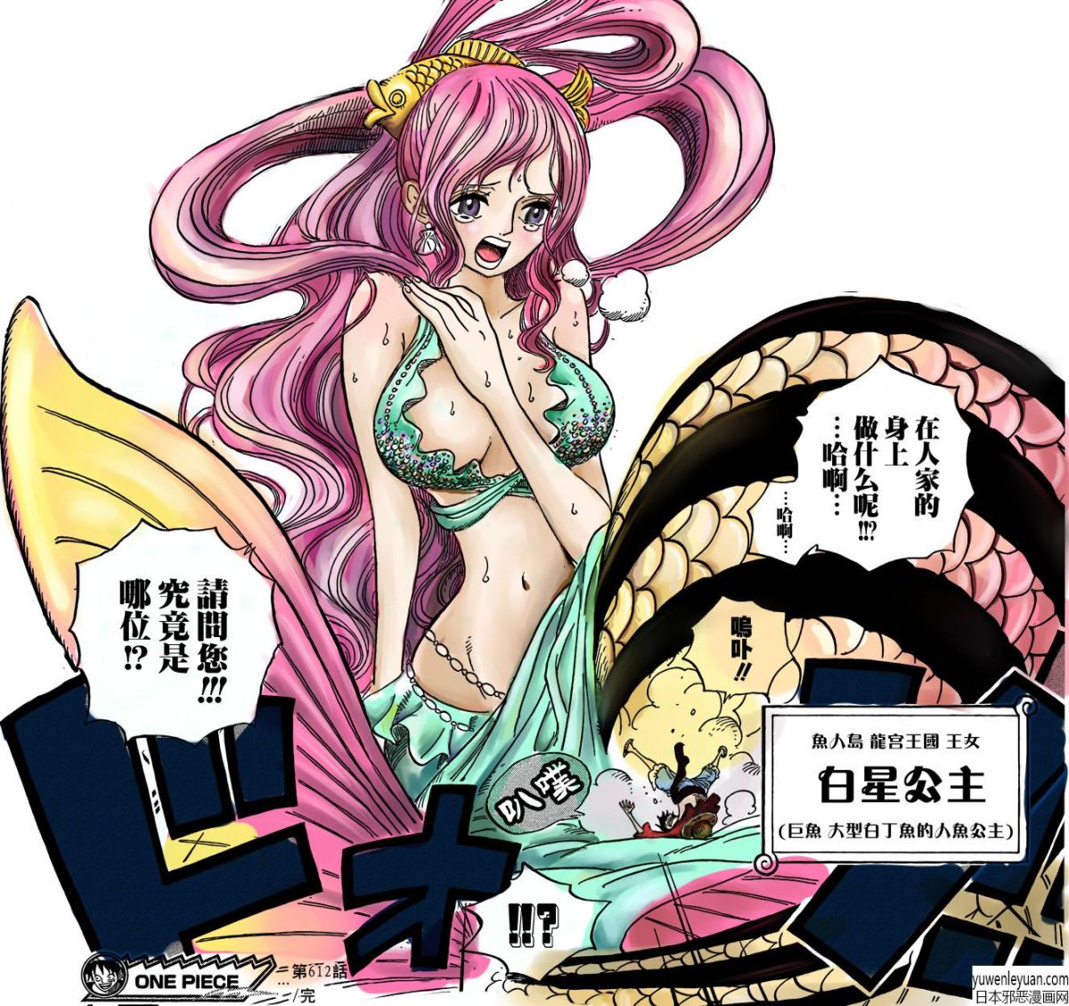 白星公主海贼王吧h