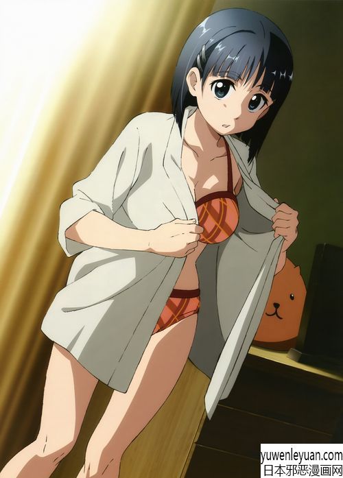 刀剑神域彩漫画集