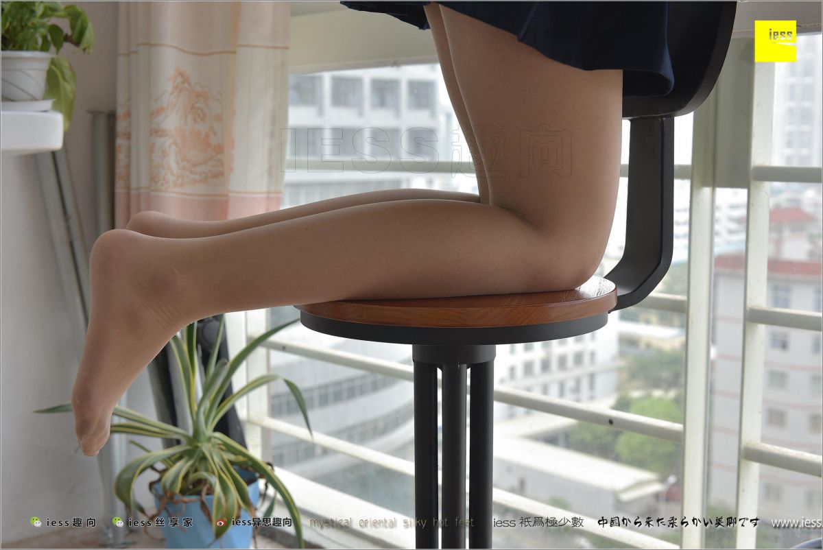 馨月 《知足常乐》
