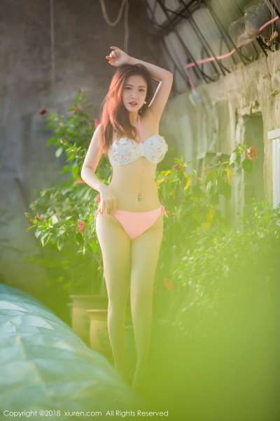 西希白兔 - 美女诱惑花房写真