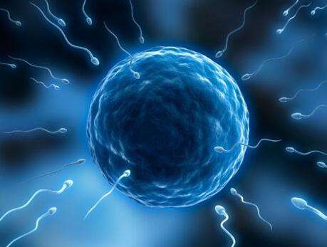  超级精子会影响生育吗