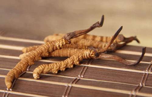 gif 18-130GG44232418.gif