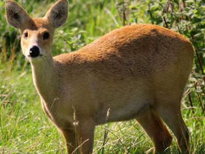 没有约炮软件，古人都这样约