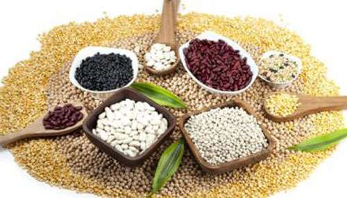 jpg u=2325086447,4054508965&fm=21&gp=0.jpg