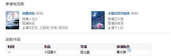 新神雕侠侣2018版小龙女是谁演的-毛晓慧个人作品介绍