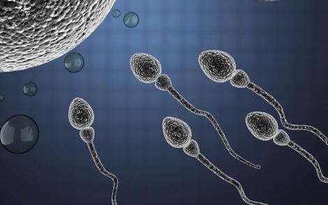 究竟什么才是超级精子