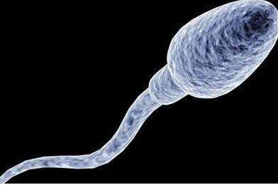 究竟什么才是超级精子