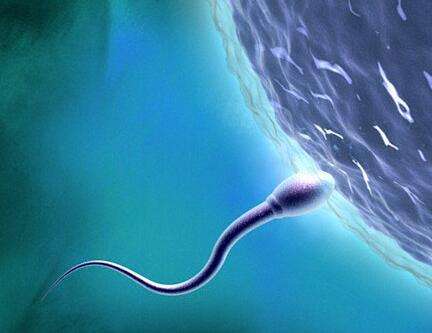 究竟什么才是超级精子