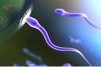 究竟什么才是超级精子