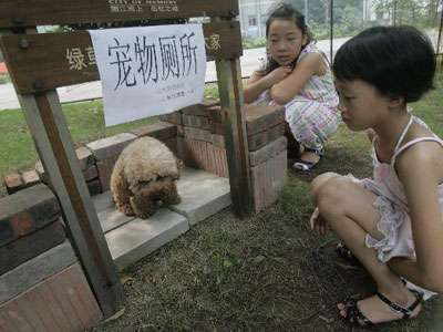 无性别公厕，美女被偷窥？