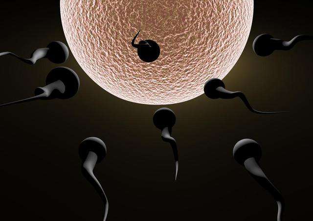 性生活频繁会影响受孕吗