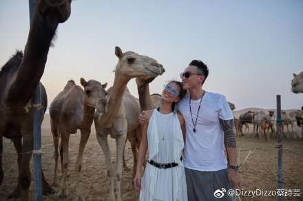 王阳明被曝升级当爸！预计将在年底迎接“猪宝宝”