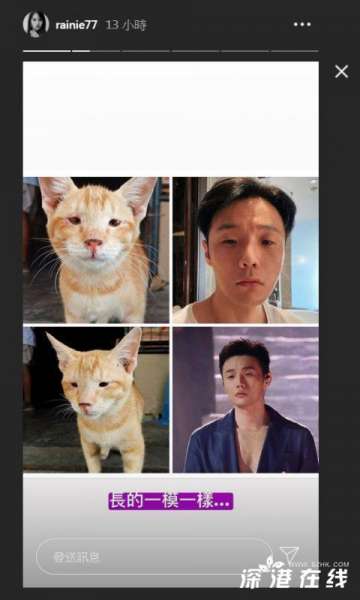 杨丞琳认证李荣浩撞脸猫咪 杨丞琳晒猫咪与李荣浩对比照【图】