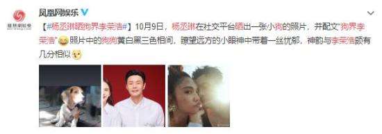 杨丞琳晒狗界李荣浩 爱到深处自然黑!【图】