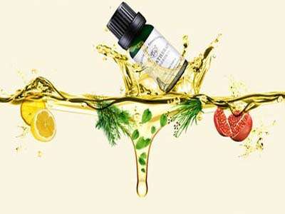 茶树精油功效与作用 茶树精油功效与作用