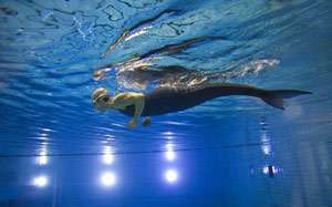 截肢女装“鱼尾”