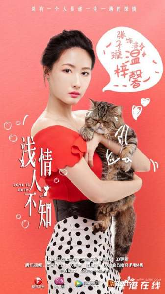 《浅情人不知》强势上线 赵毅新张子璇高手过招捕获爱情