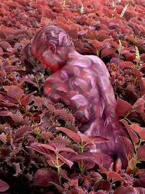 人体艺术和色情图片的区别 人体艺术和色情图片的区别