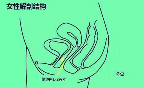 为什么会有妹子喜欢肛交? 为什么会有妹子喜欢肛交?