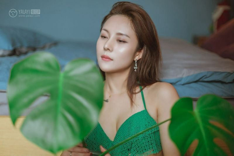 出墙红杏朵朵开之同学的未婚妻刘盈-【2024年6月更新】